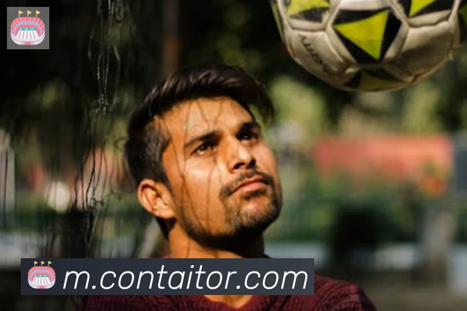 华体网页版登录入口平台生态图