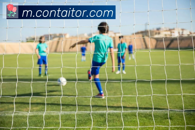 华体网页版登录入口荣誉