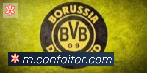 华体网页版登录入口合作伙伴